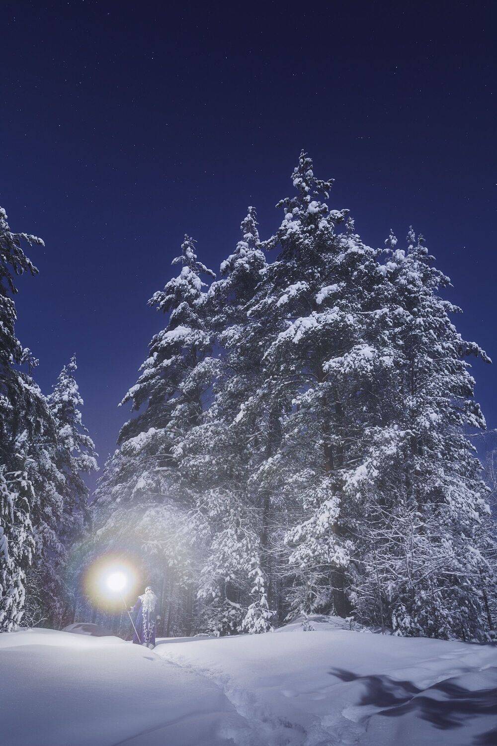 пейзаж, рождество, новыйгод, ночь, ночнойпейзаж, снег, зима, тайга, лес, дедмороз, север, мороз, холод, звёзды, ель, landscape, nightscape, winter, santaclaus, cristmas, snow, frozen, woodland, north, stars, taiga, Чаланов Иван