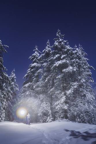 Заколдованный лес Дедушки Мороза