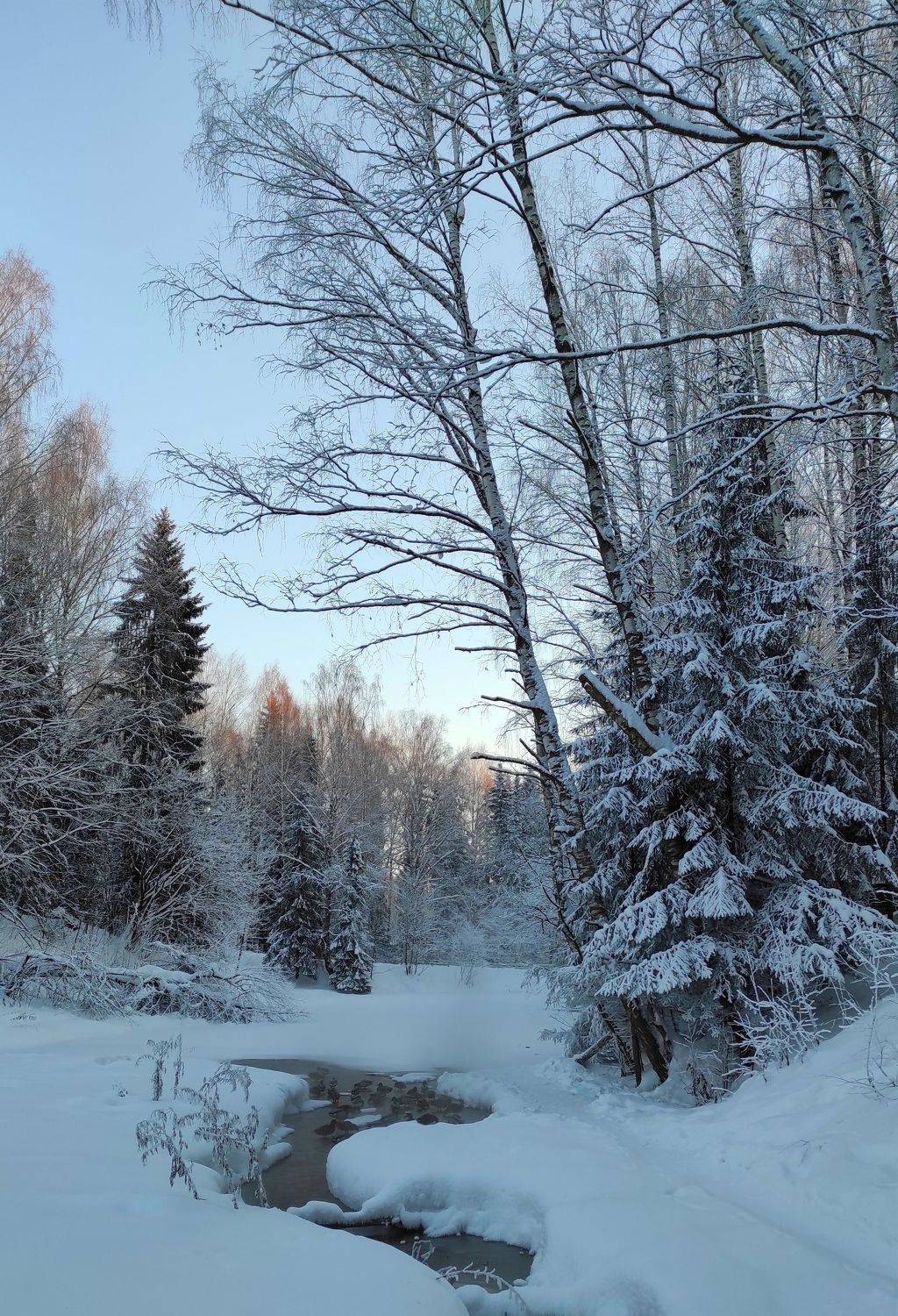 , Перешеин Андрей