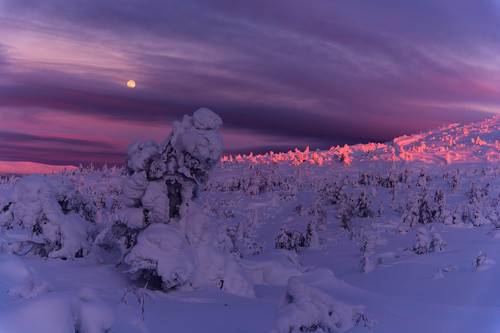 Восход луны на склонах Кандалакшских гор
