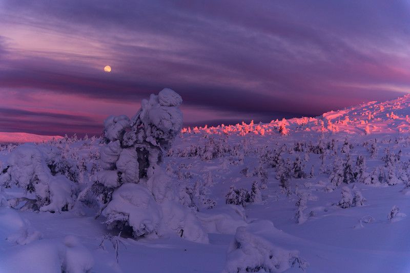 восход, луна, кандалакша Восход луны на склонах Кандалакшских гор фото превью
