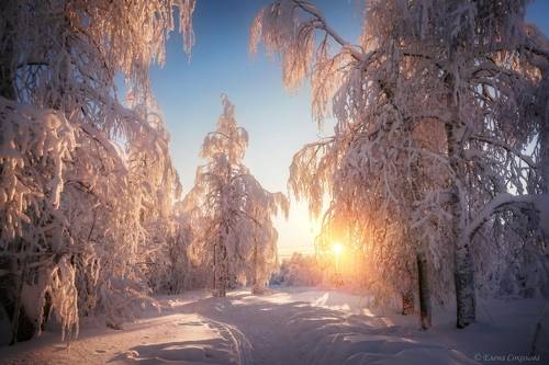 Морозное утро