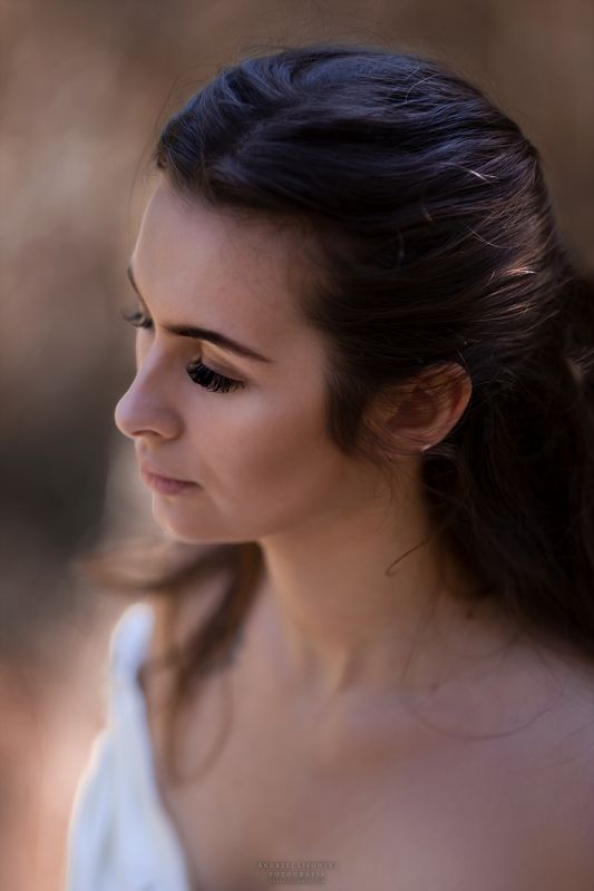 Bokeh фото превью