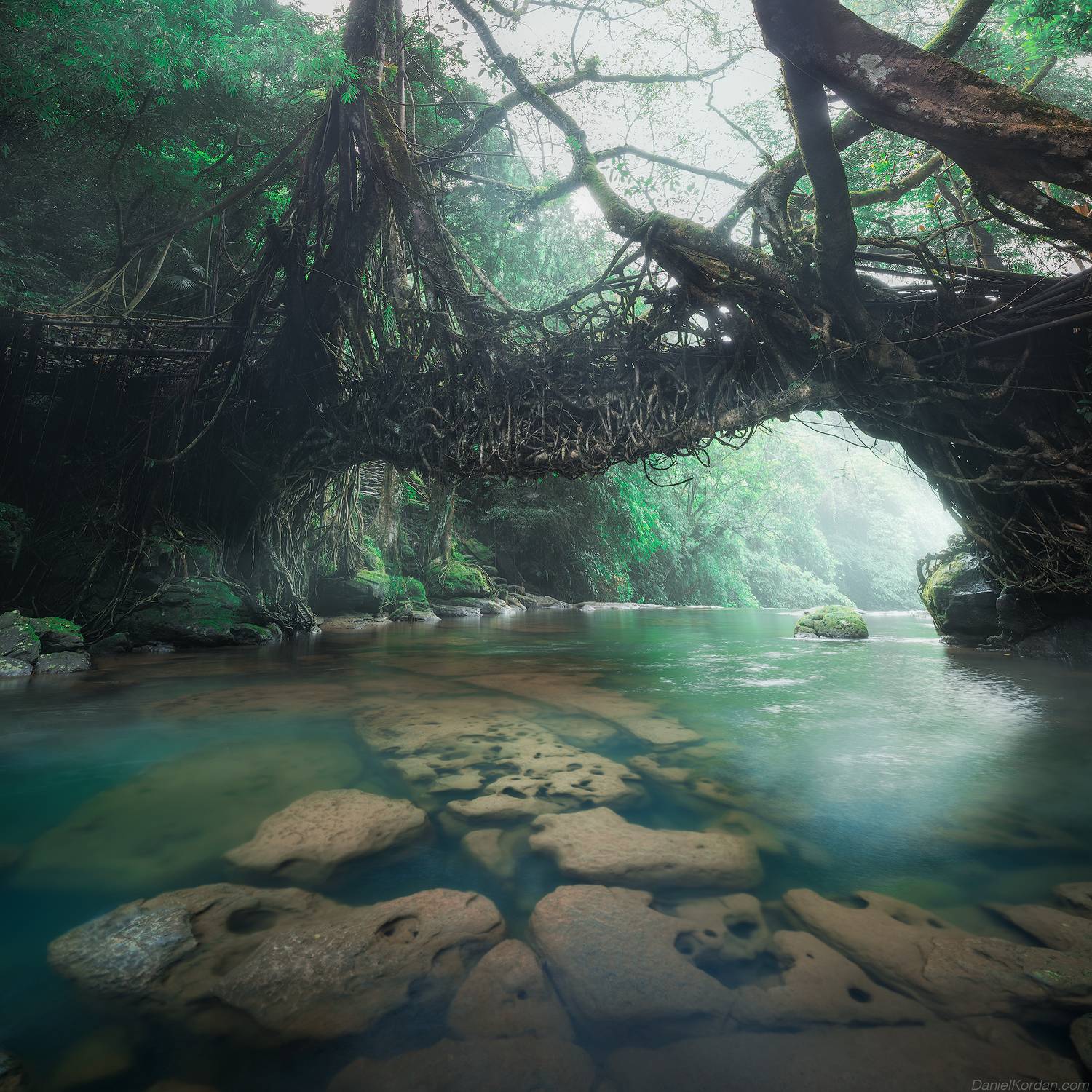 , Даниил Коржонов