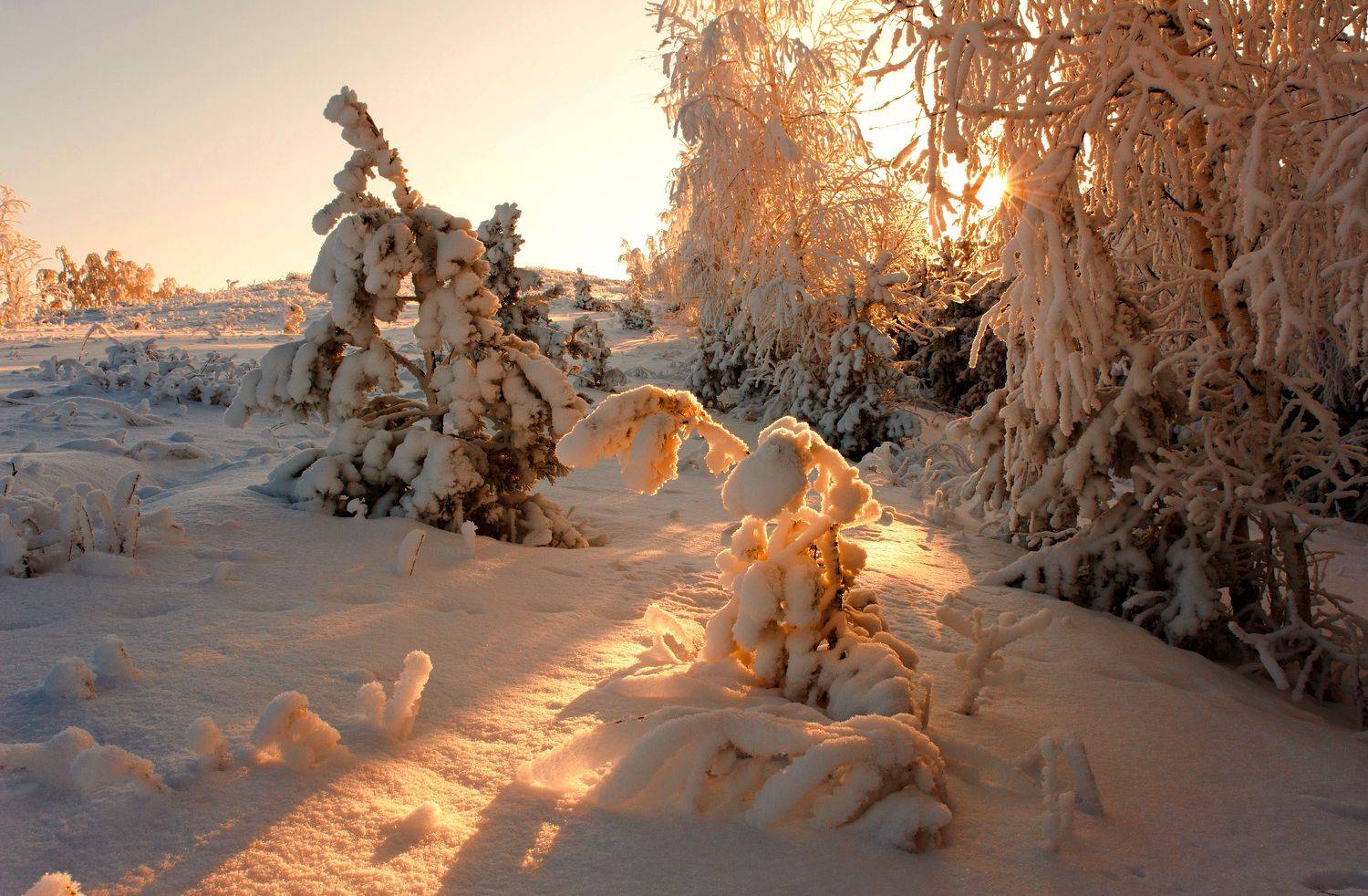 , Шустиков Дмитрий