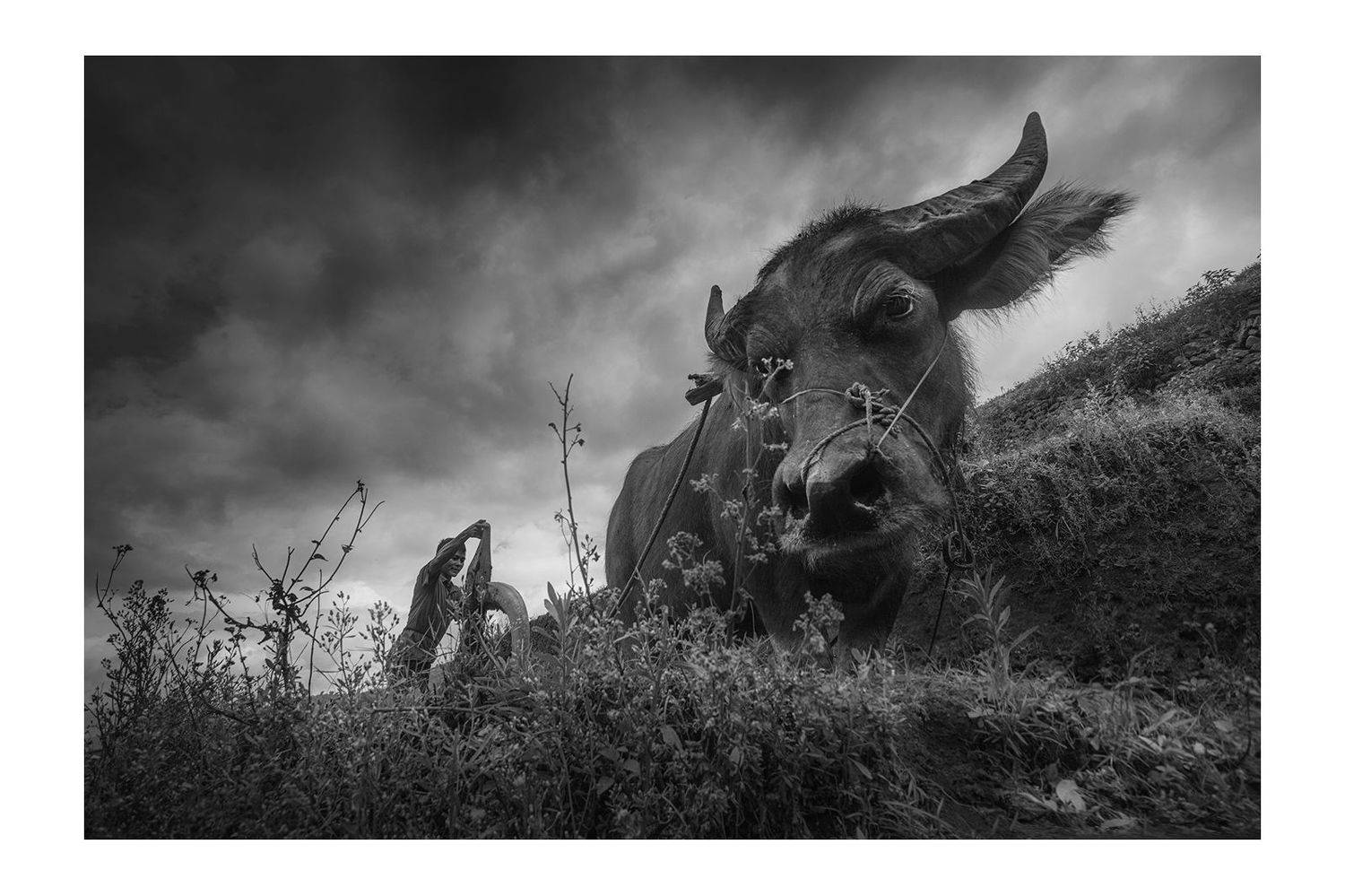 , Михалюк Сергей *