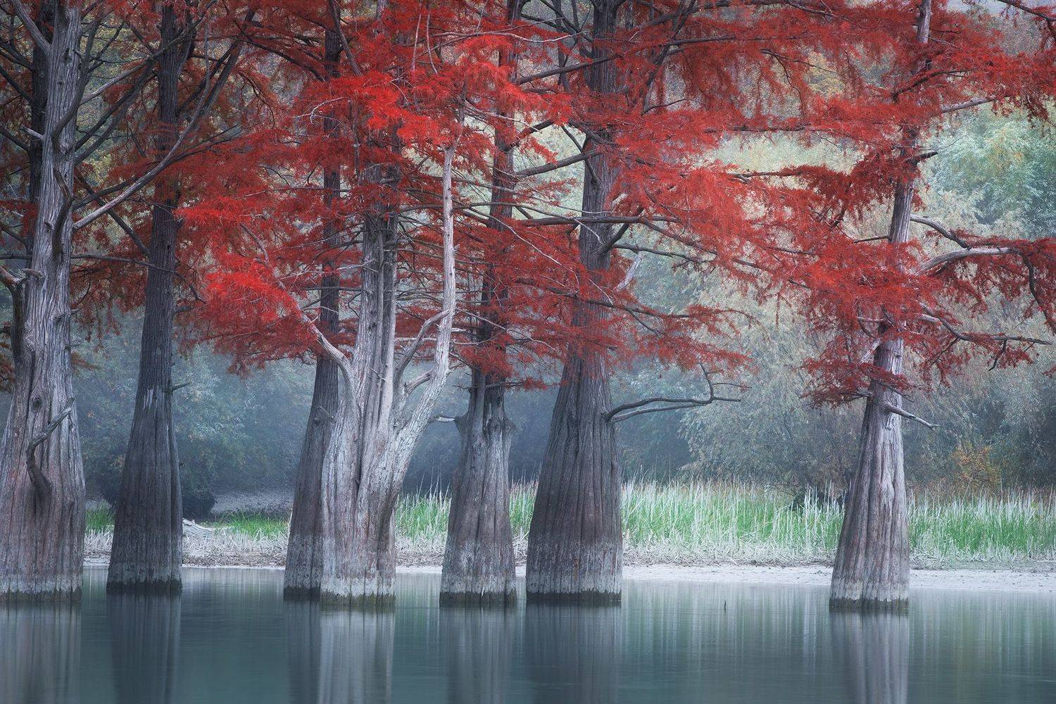 , Костенко Александр