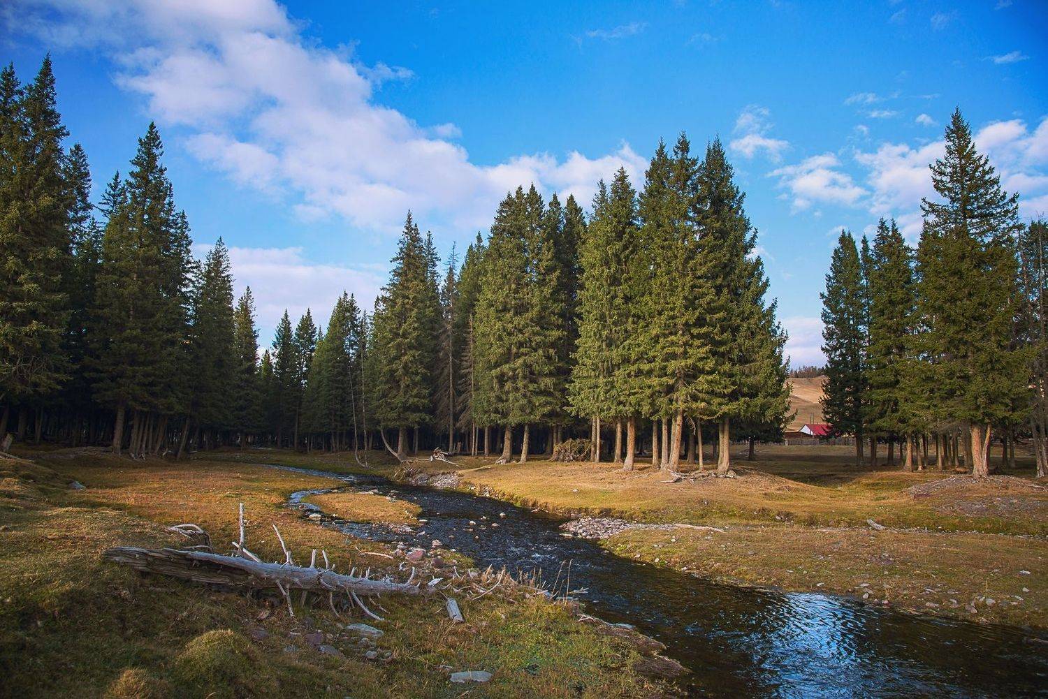 , Вадим Качанов