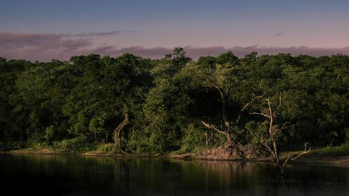 Ulusaba, Kruger National Park, South Africa