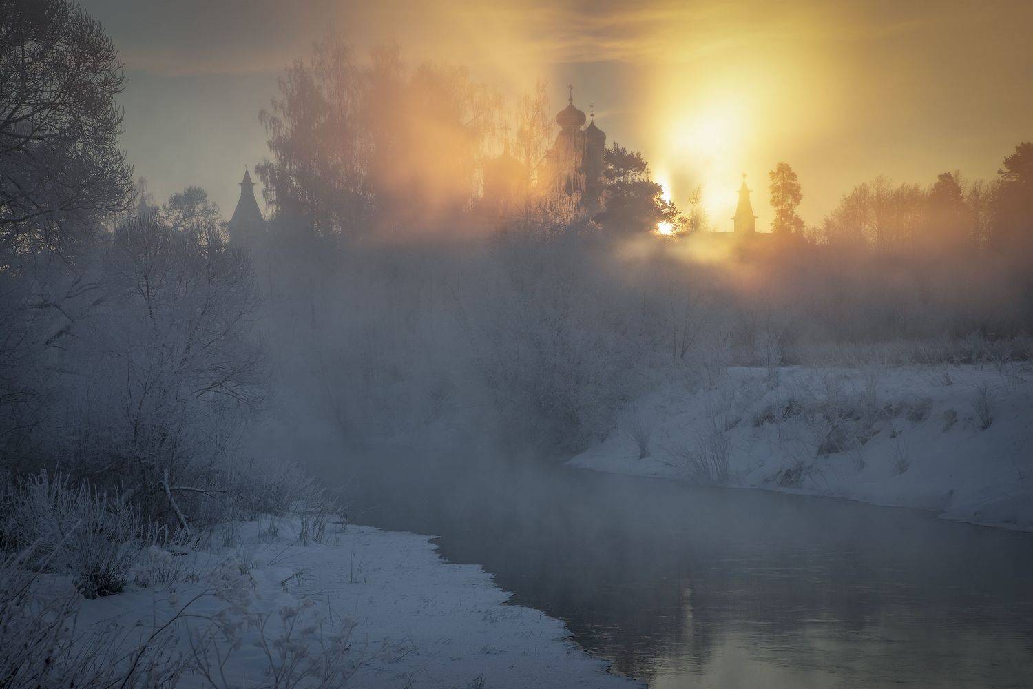 Истра, Гусева Елена