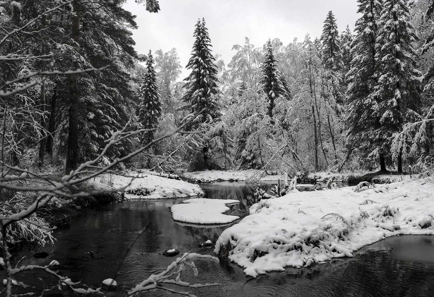 , Владимир Письмак
