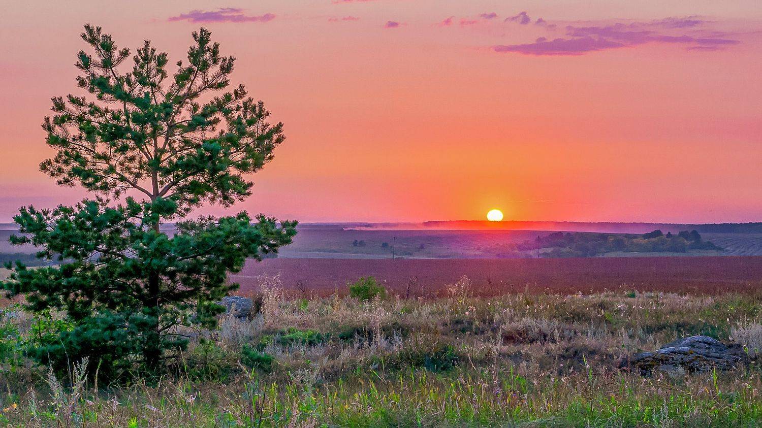 август, закат солнца,, Николай Бологов