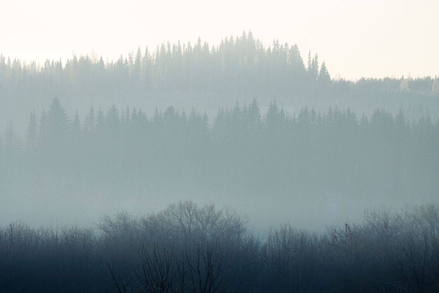 , Котов Андрей