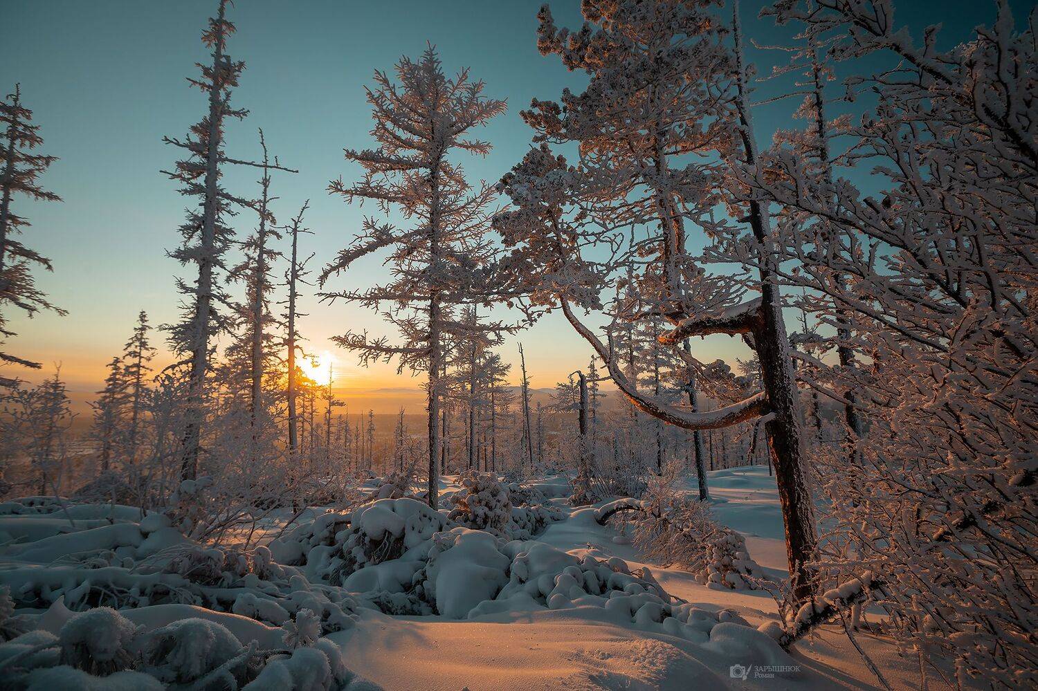 якутия, дальний восток, сибирь, зима, мороз, снег, закат, тайга, крещение, Зарышнюк Роман