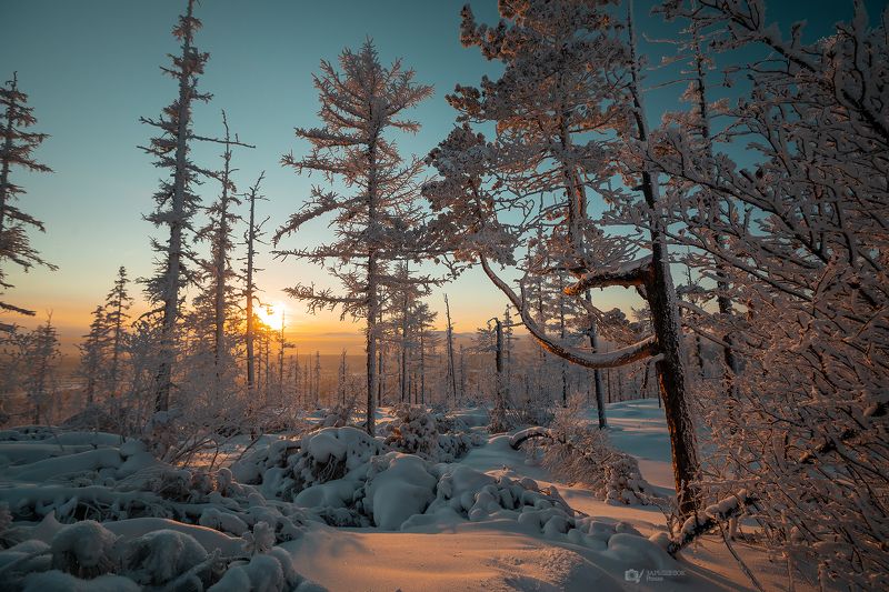 якутия, дальний восток, сибирь, зима, мороз, снег, закат, тайга, крещение  фото превью