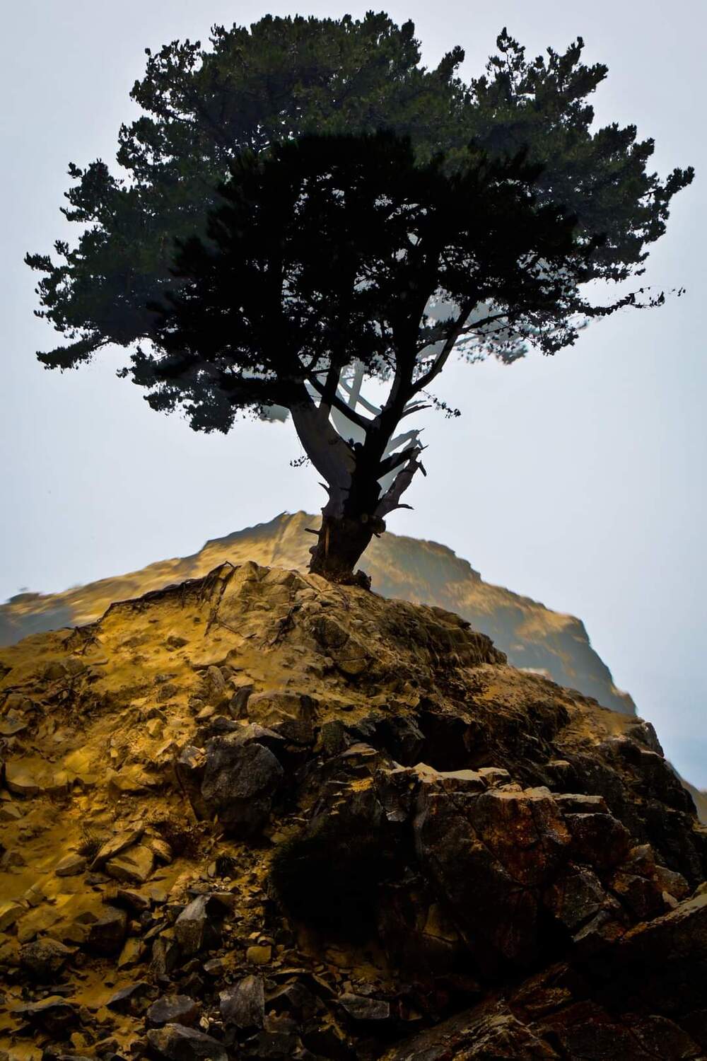 paisaje, paisajes, street photo, photo, street, conguillio, bastian cifuentes araya, periodistafurioso, periodista furioso, streetphotography, nature photography, ramuncho, sur de chile, photojournalist, Cifuentes Araya Basti&aacute;n