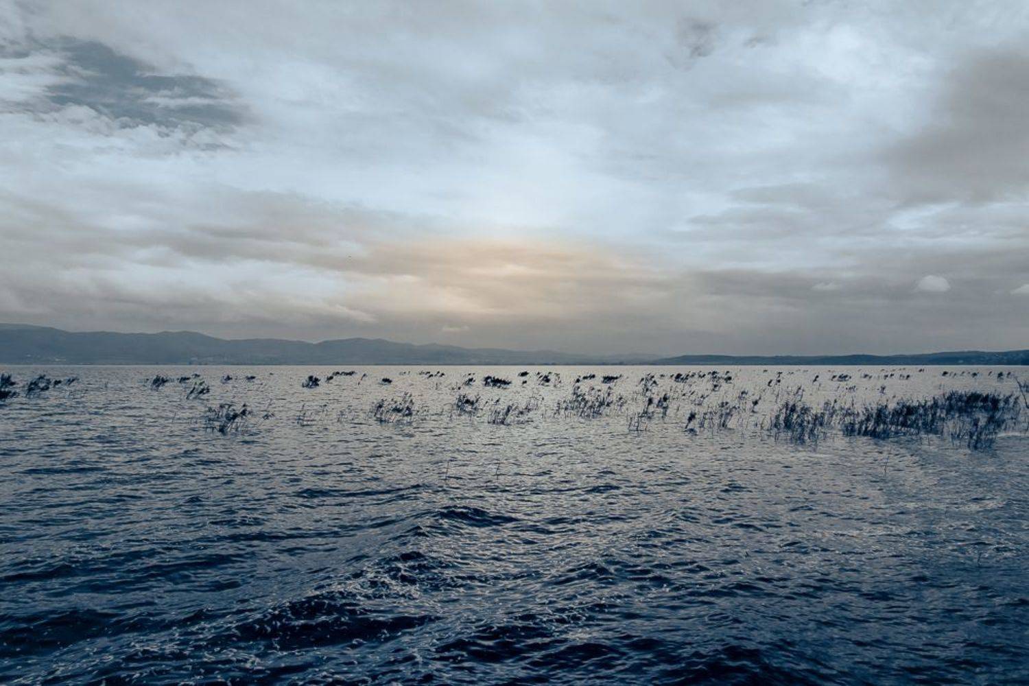 , Antonis Giakoumakis