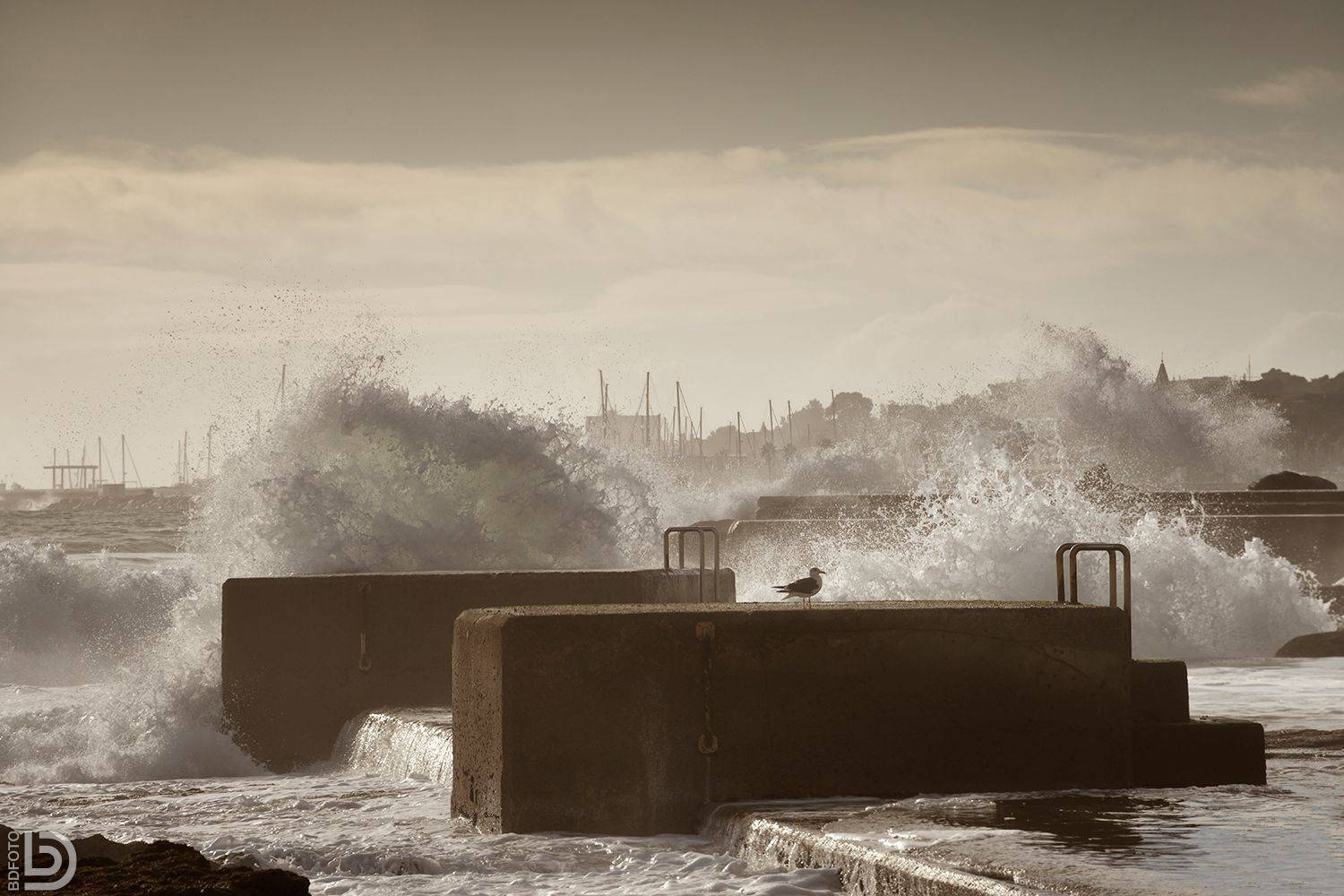 estoril, portugal, Дмитрий Бакулин