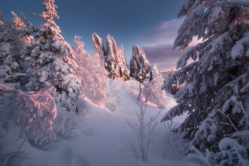 Зимний уголок