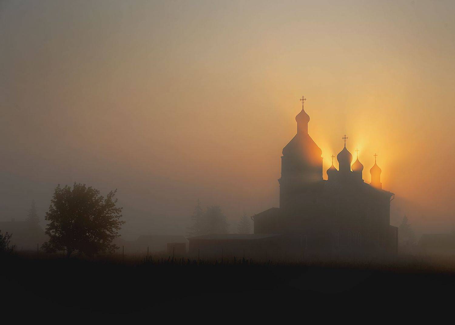 , Александр Степочкин