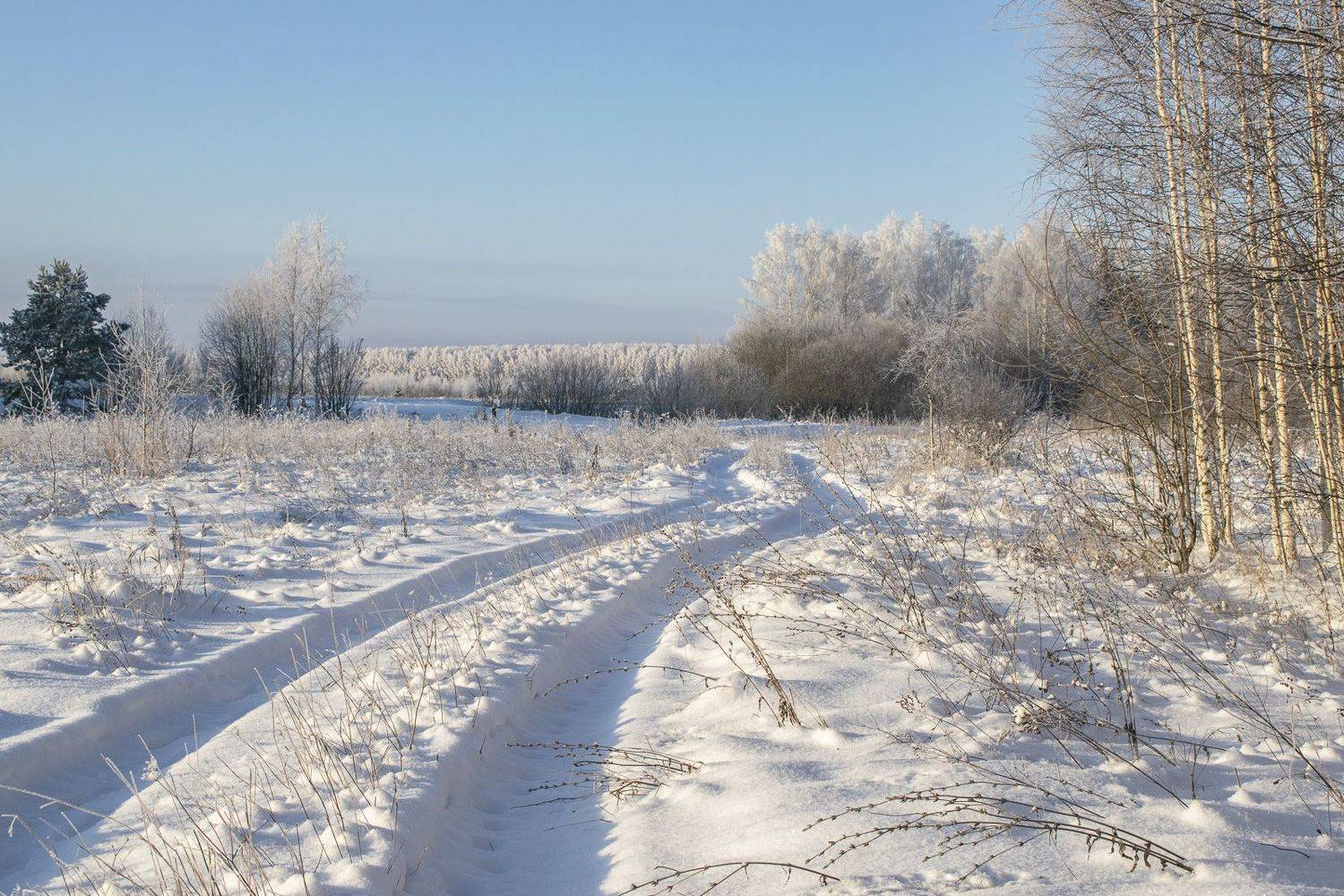 , Галина Луценко