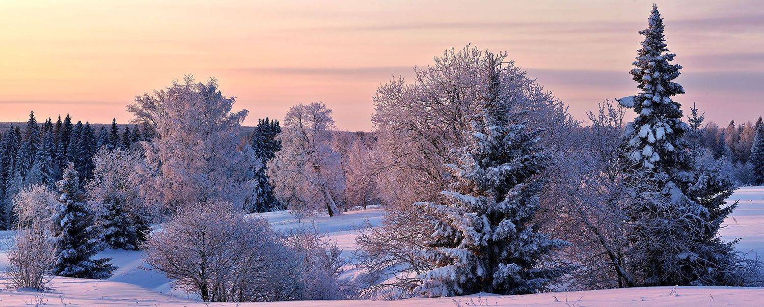 , Андрей Зыкин