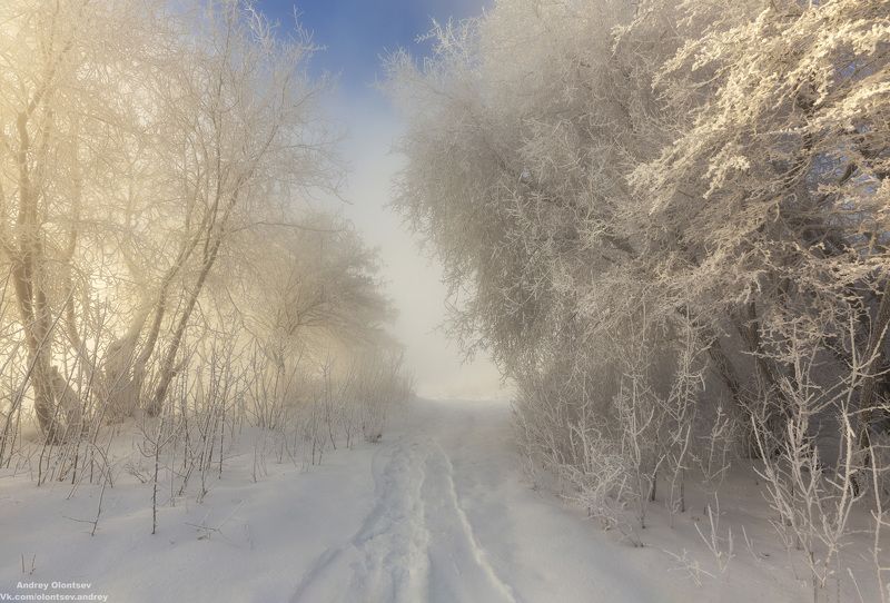 солнце, россия, рассвет, природа, подмосковье, погода, пейзажи, пейзаж, отражение, наукоград, красота, дубна, вода, весна, weather, water, spring, russia, reflection, naukograd, nature, moscow, landscape, dawn, canon, dubna, beauty *** фото превью