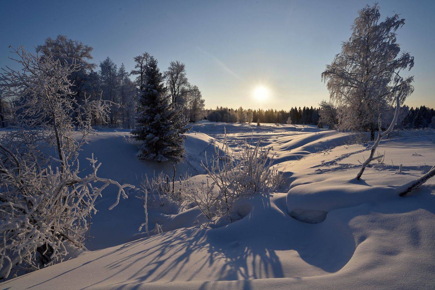 , Андрей Зыкин