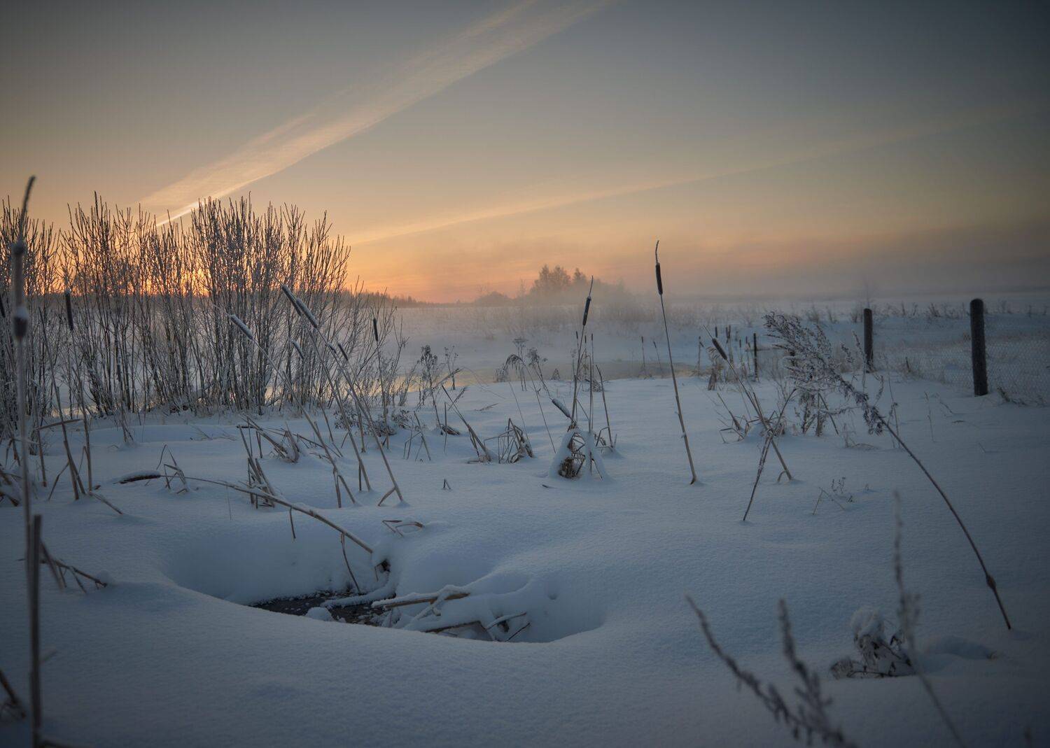 , Борис Дацковский