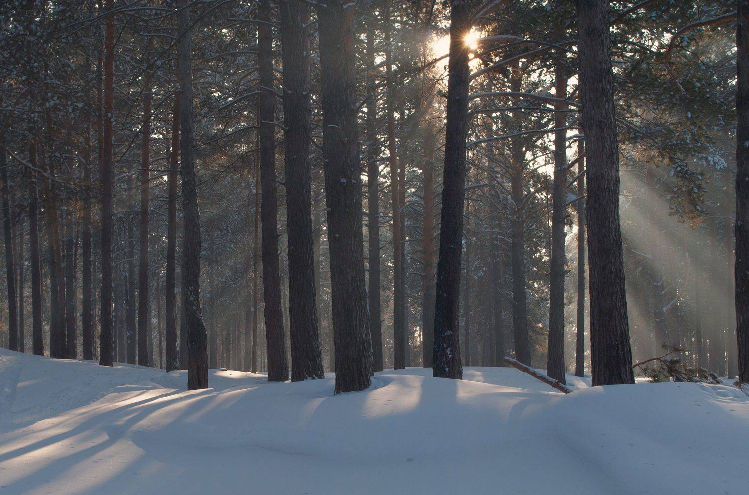 , Евгений Зинов