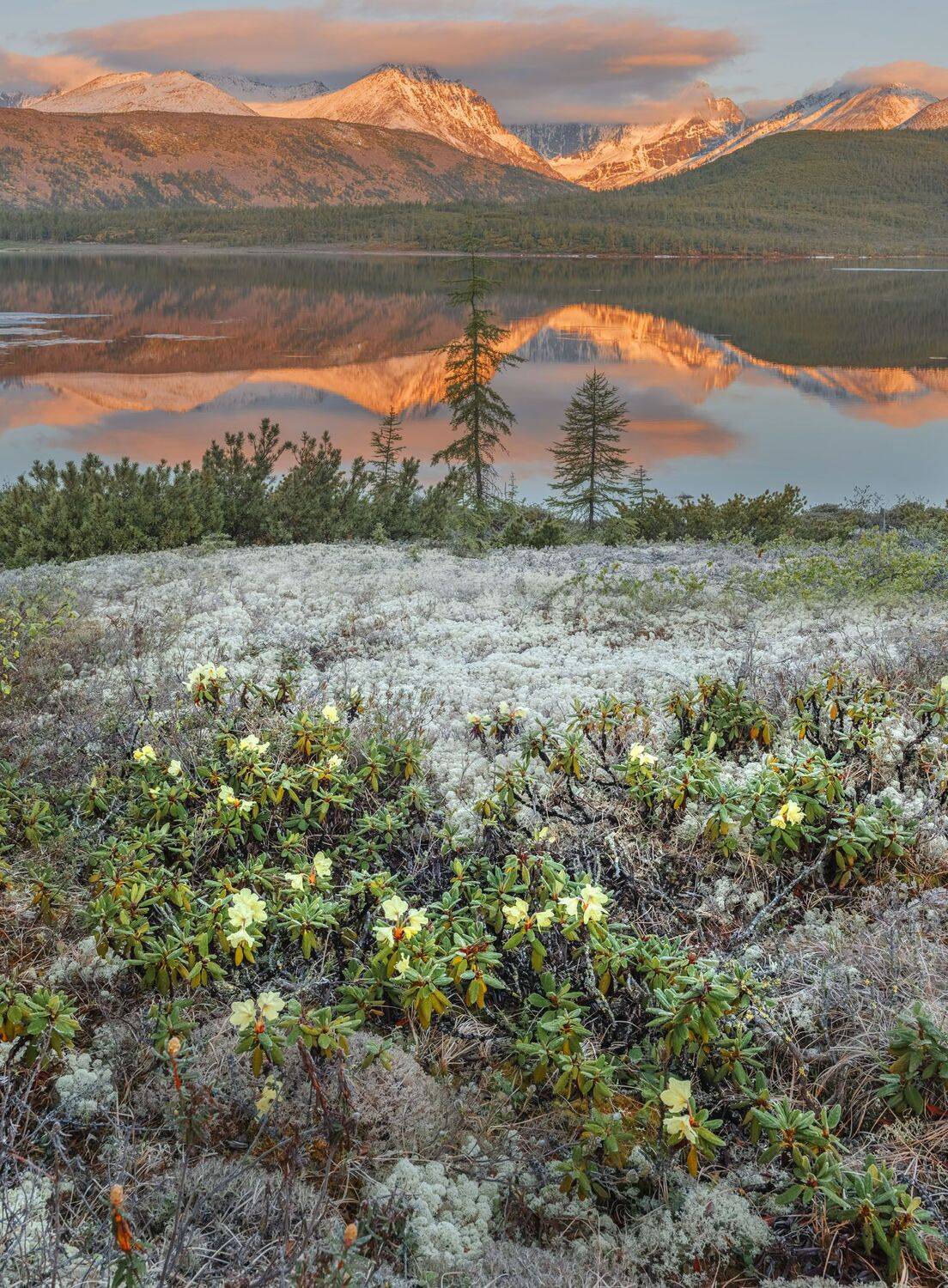 Фототуры с Владимиром Рябковым, #озероджекалондона #колыма #loves_russia #nikonrussia #landscape_russia #ru_landscape  #русскийсевер #landscapephotography #photoarena_nature #Russiannature #большаястрана #russpasibo #topnature #lovelyRussia #природаРоссии, Владимир Рябков
