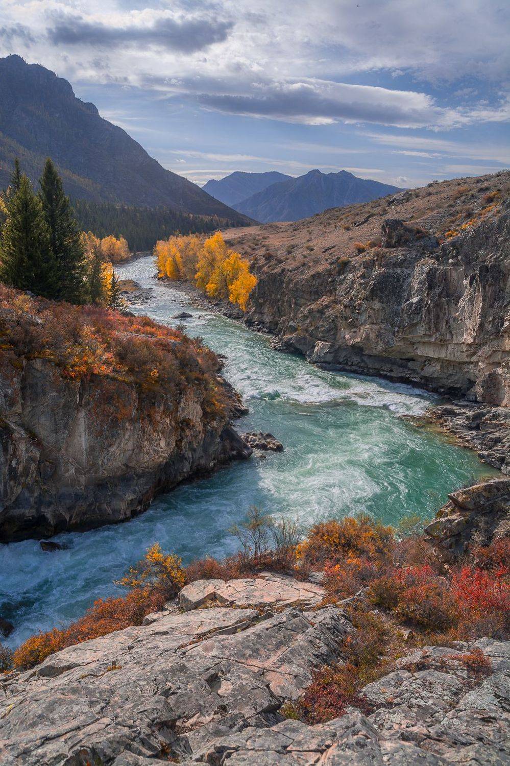 россия, горный алтай, река чуя, осень, Андрей Поляков