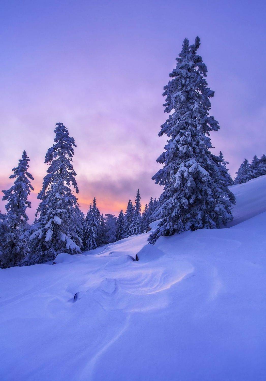 , Vyacheslav Lozhkin