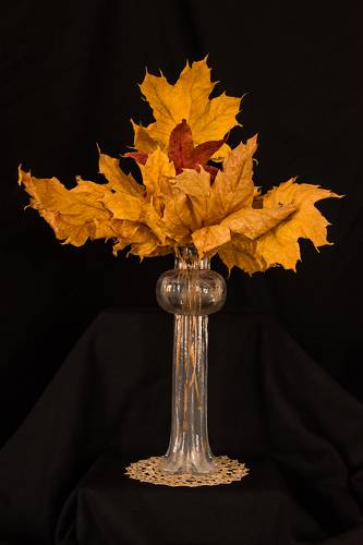 Autumn Reminiscence