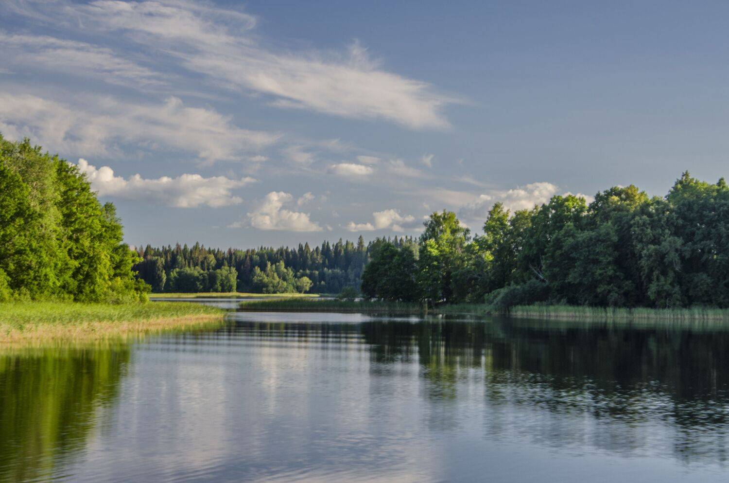 пейзаж селигер красота, Александр Березуцкий