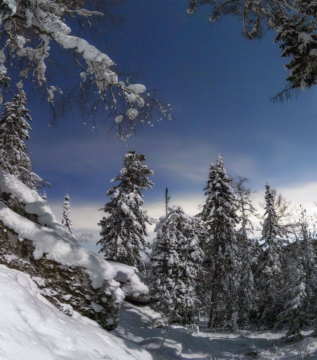 , Лещёнок Александр