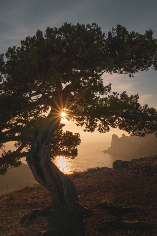 Мыс Капчик, Крым фото превью