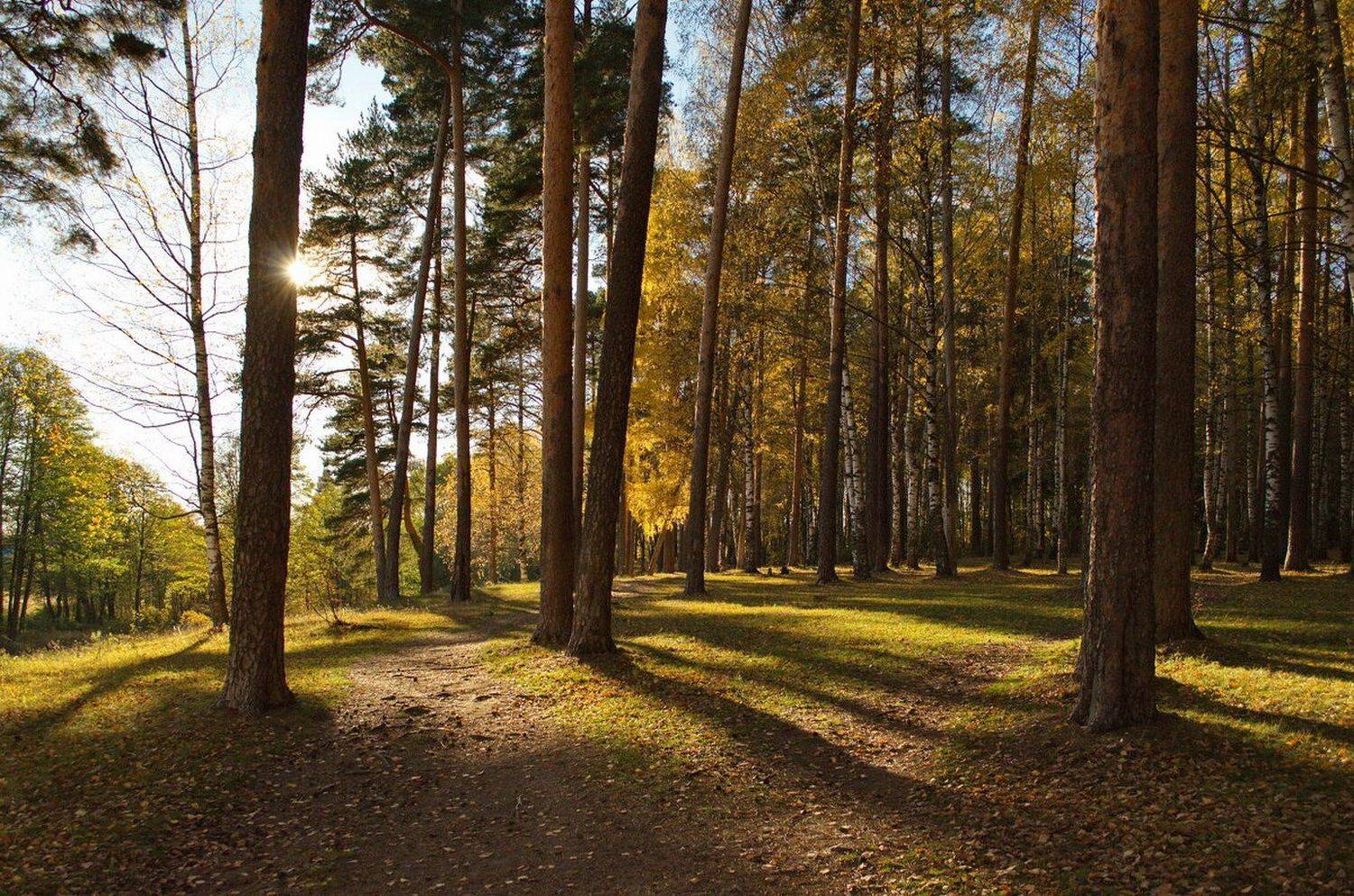 , Сергей Клапишевский