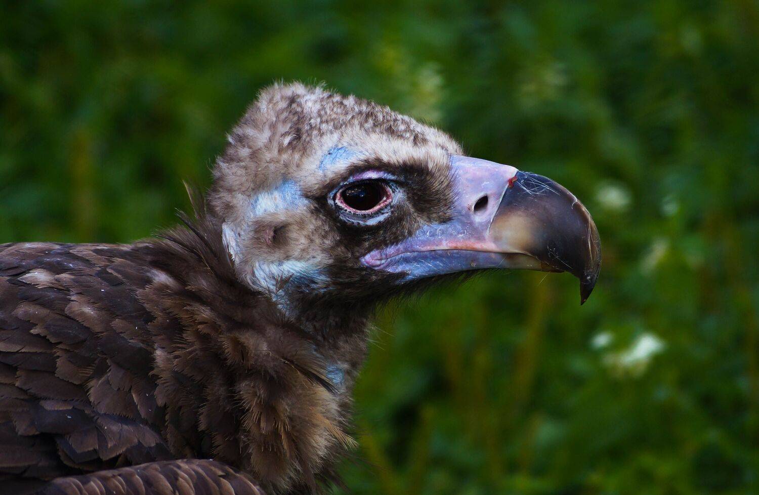 , Екимова Наталья