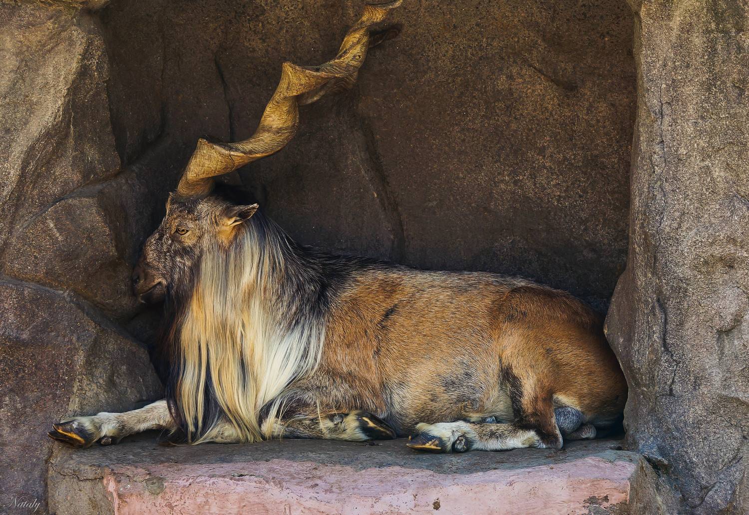 , Екимова Наталья