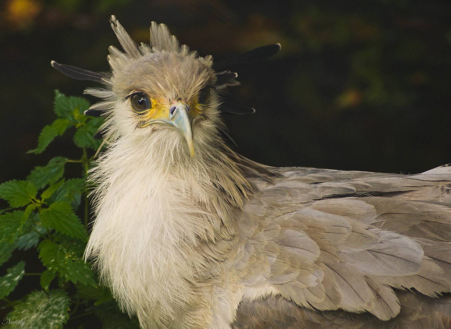 , Екимова Наталья