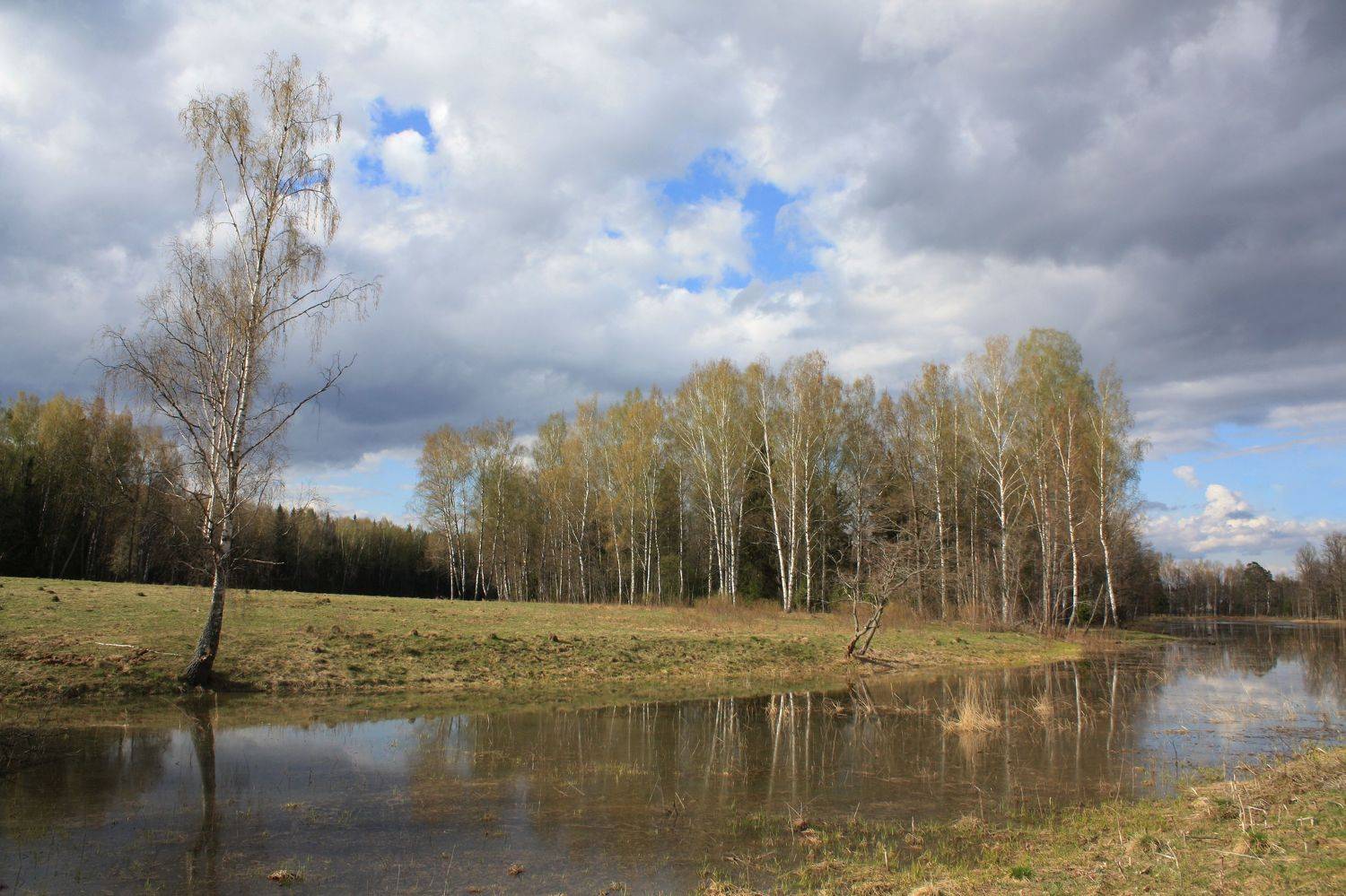 весна , лес , река, Александр Свистков