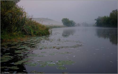 Утро у Красивой Мечи