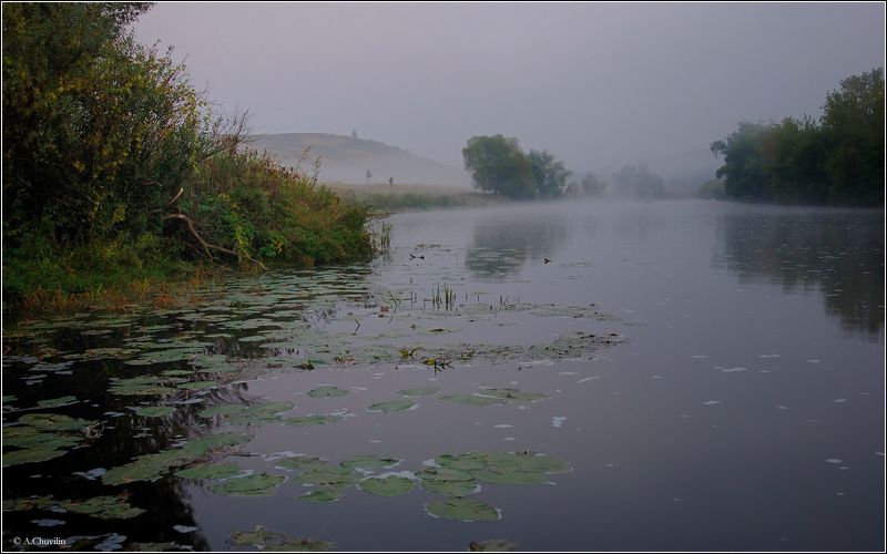 утро,пасмурно,река,красивая,меча,тульская,область Утро у Красивой Мечи фото превью