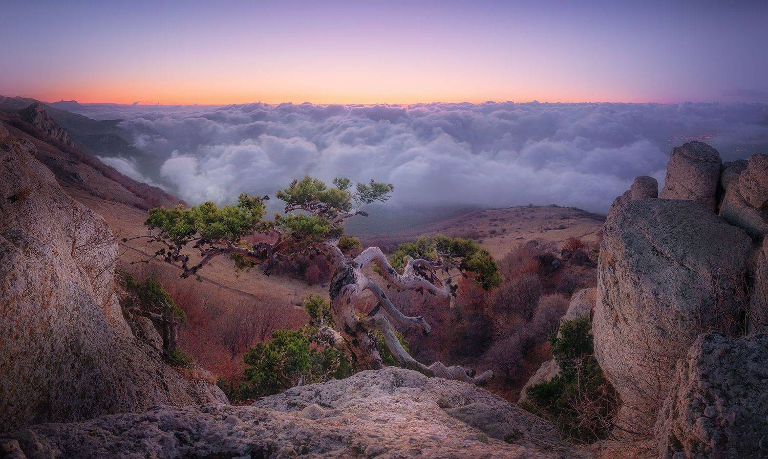 , Костенко Александр