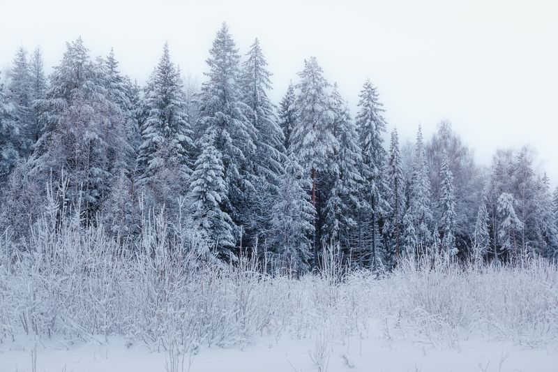 Зимняя симфония фото превью