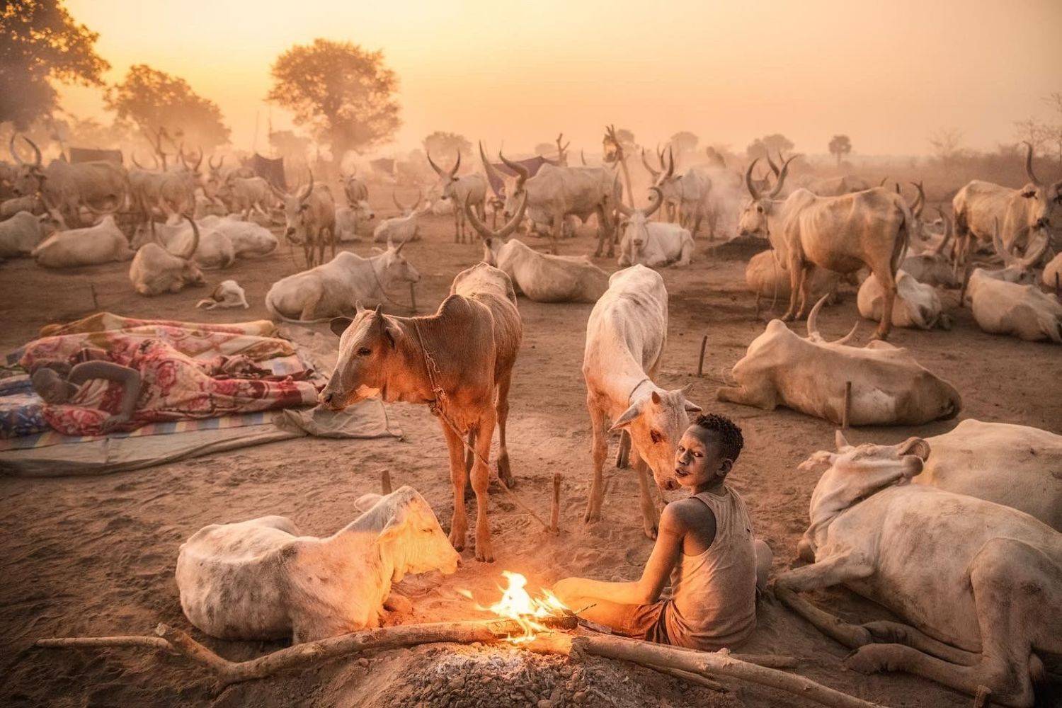 , Trevor Cole