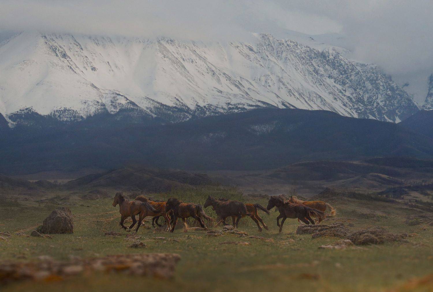 , Константин Буркин