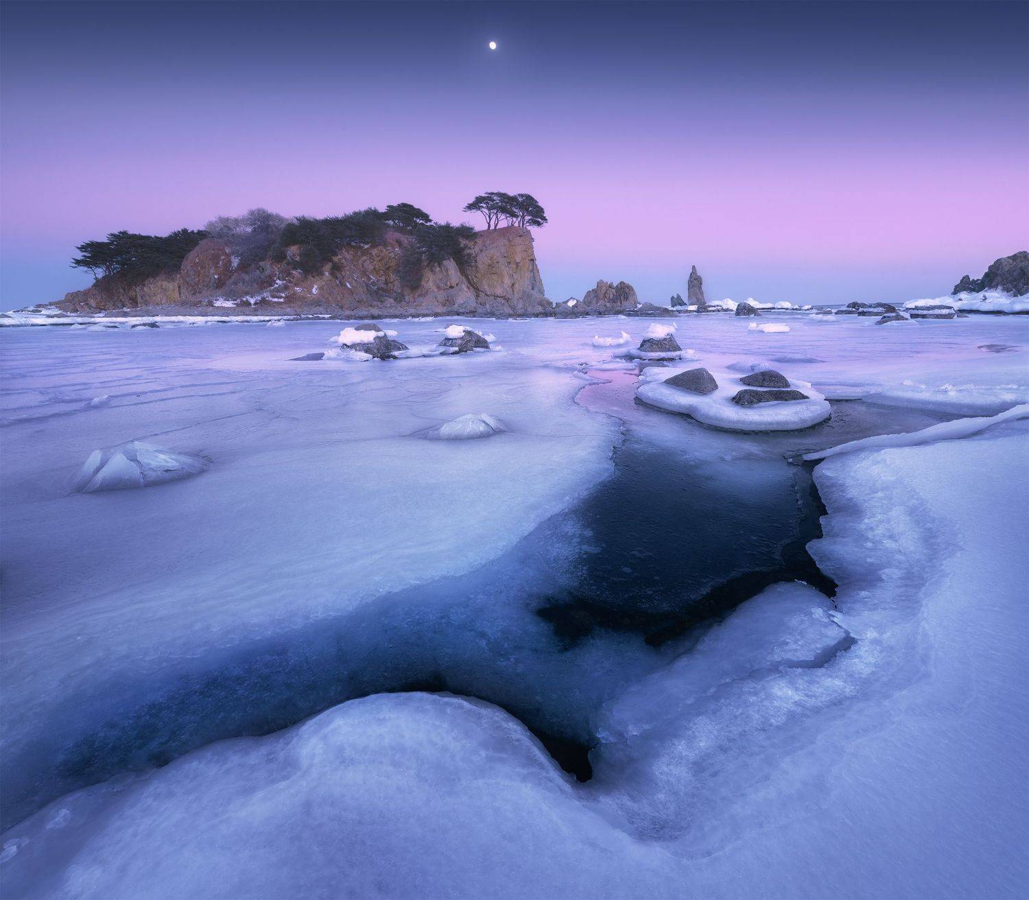 , Политова Анна