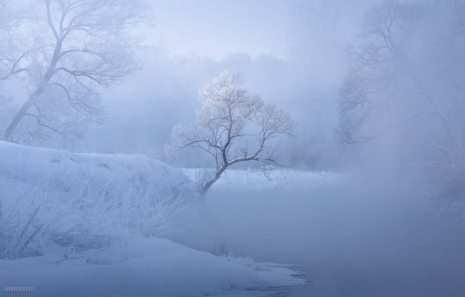истра, река, зима, мороз, туман, иней, дерево, Дубровинский Михаил